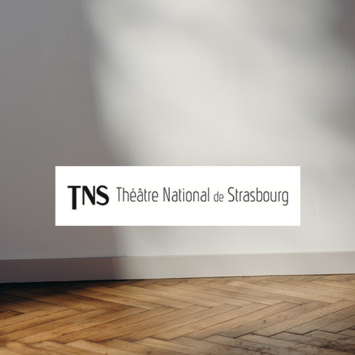 vignettes-strasbourg